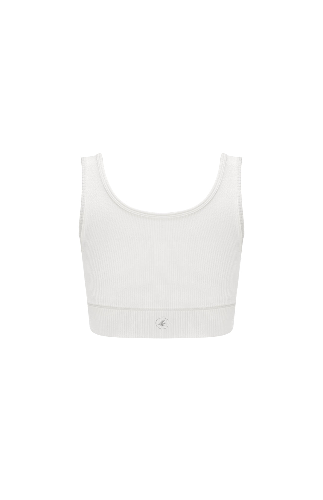 Ari Cropped Top